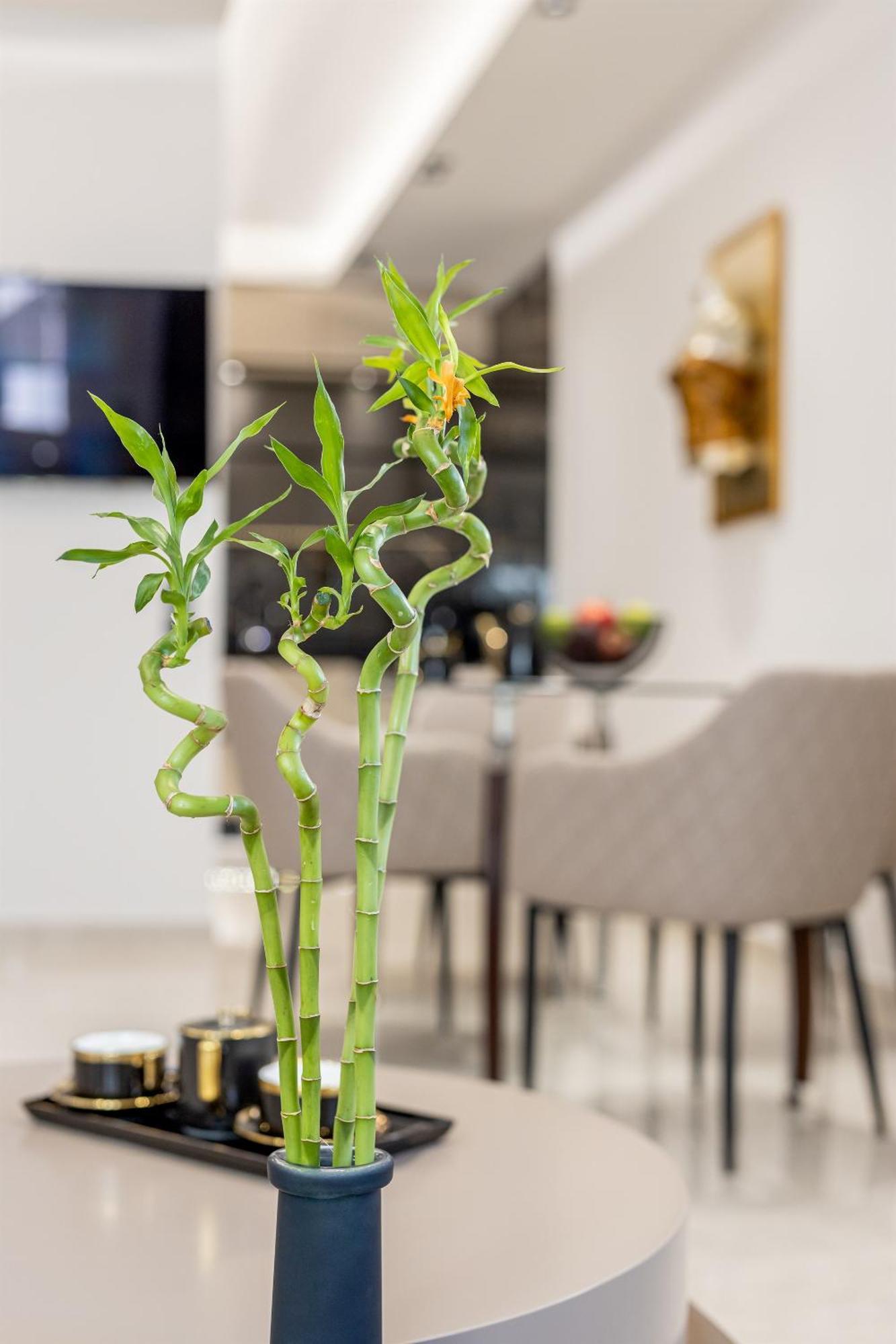 מונמבאסיה Vivian'S Luxury Suite מראה חיצוני תמונה